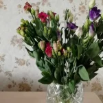 Tips for Extending the Life of Vase Cut Flowers