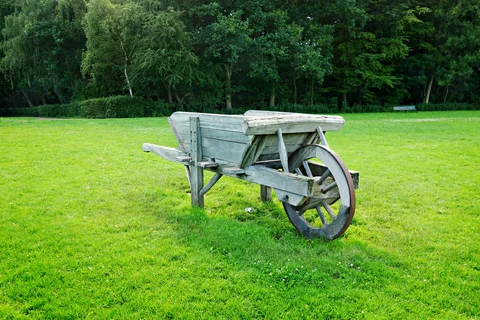 Discover the varied uses of the different garden wheelbarrows