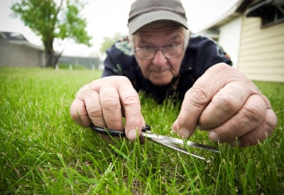 7 simple rules for lawn care